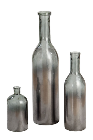 Glass Bottle Vase