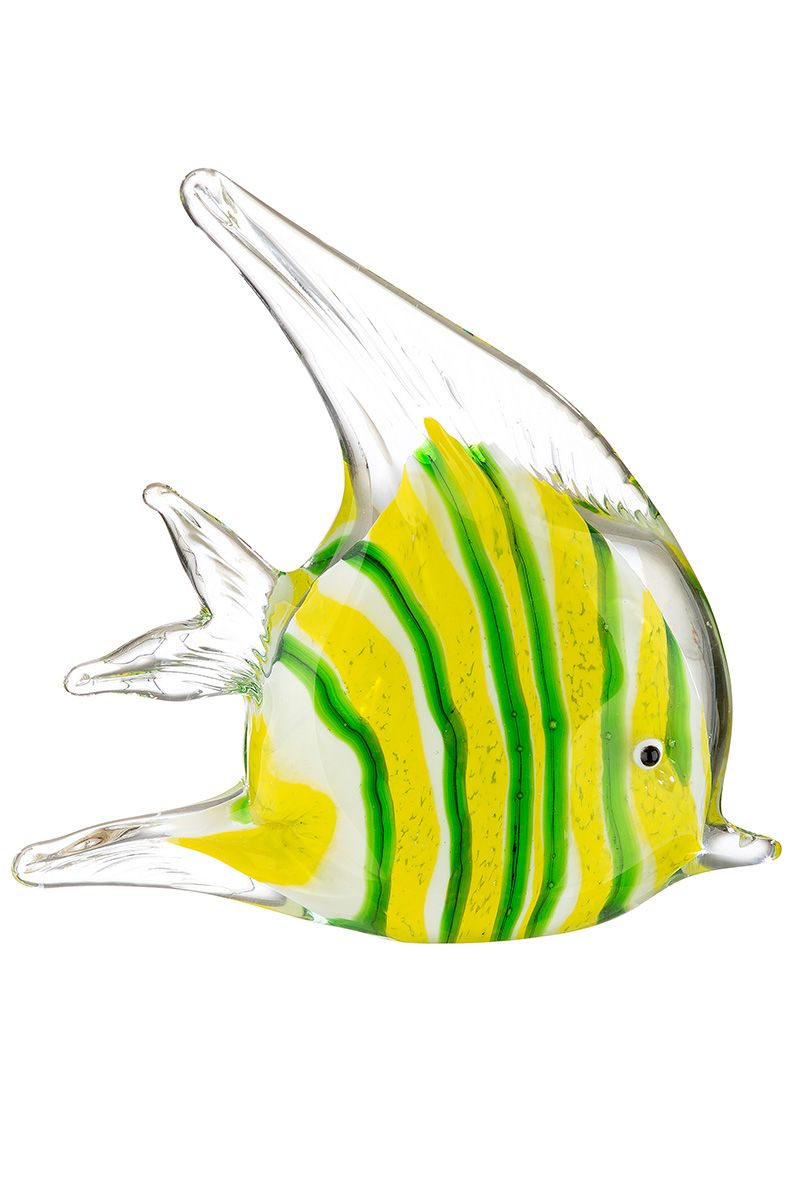 Angelfish