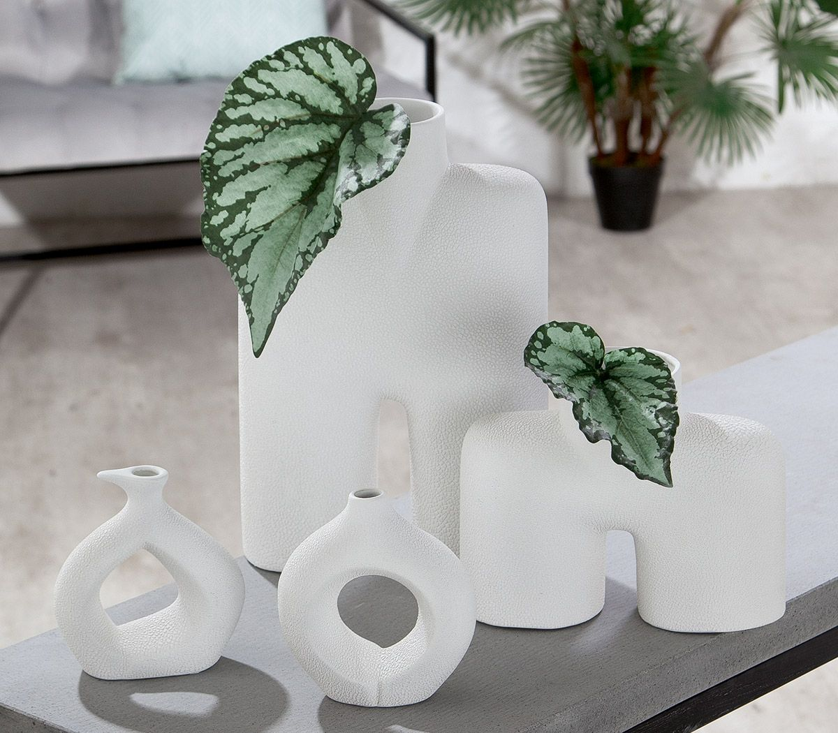 Blanc Vase Collection