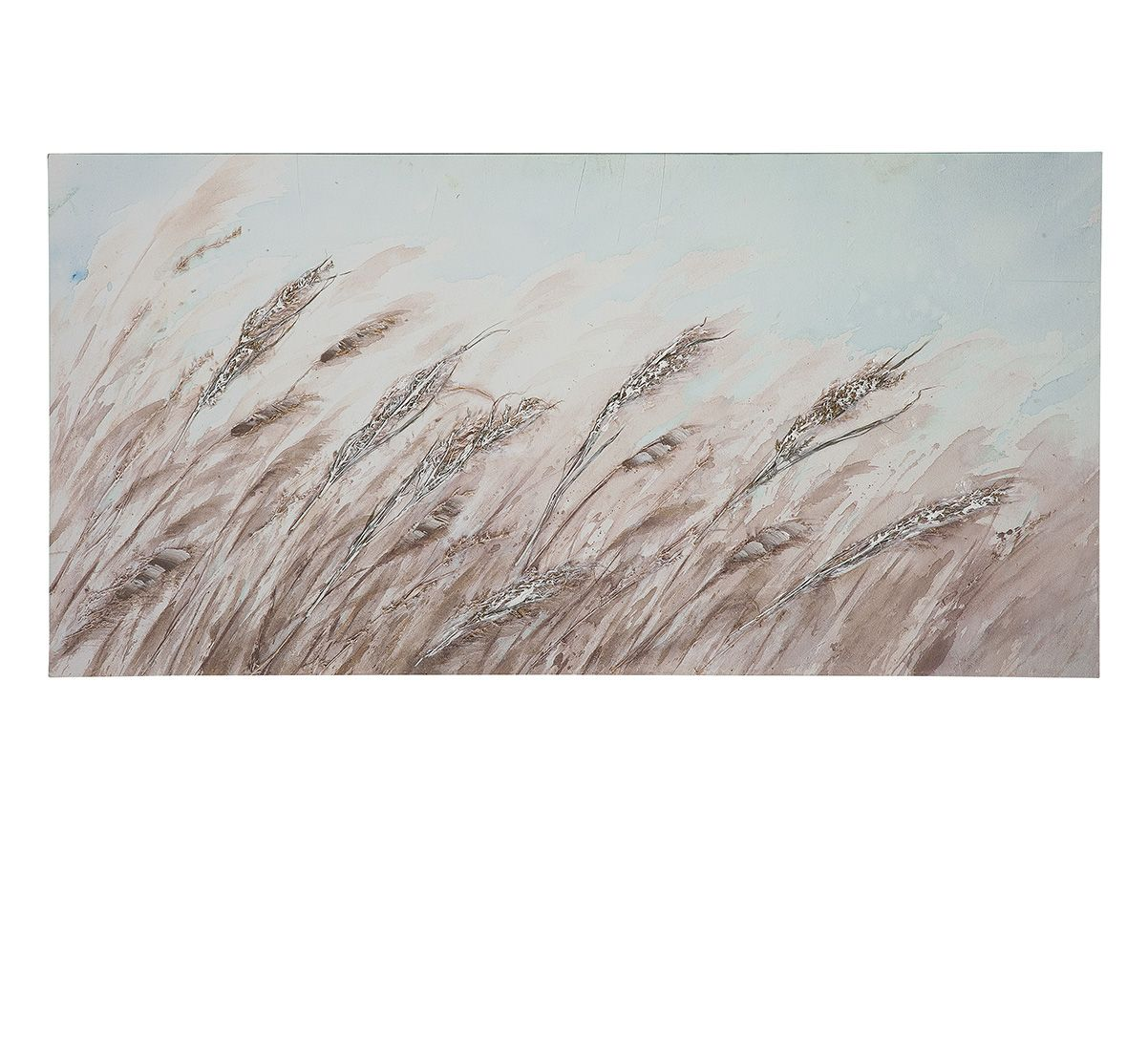 Dune Grass