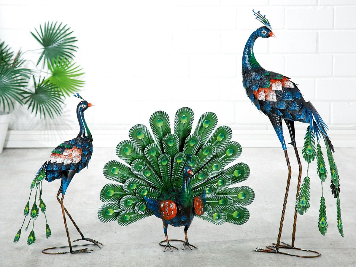 Set of Peacocks