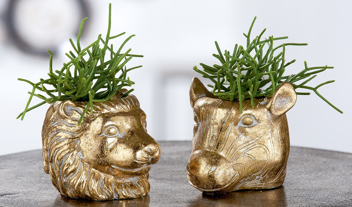 Small Safari Planter